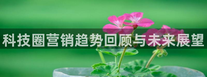 金年会qq群
