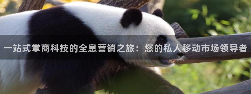 金年会金字招牌诚信