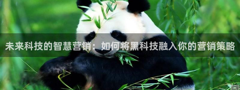 金年会赌博