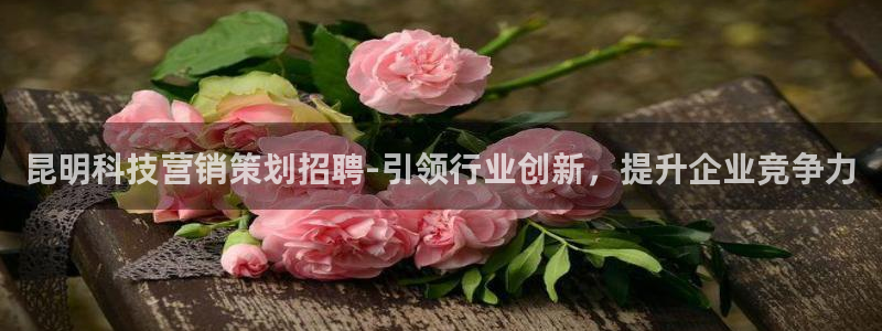 金年会体育app最新