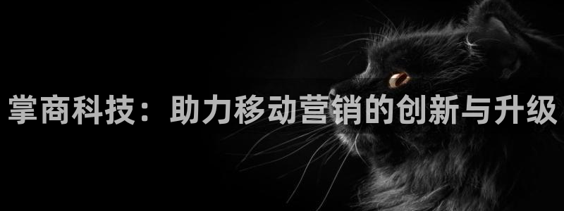 金年会jinnianhuicom