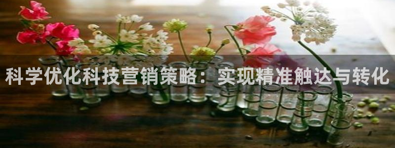 金年会电子