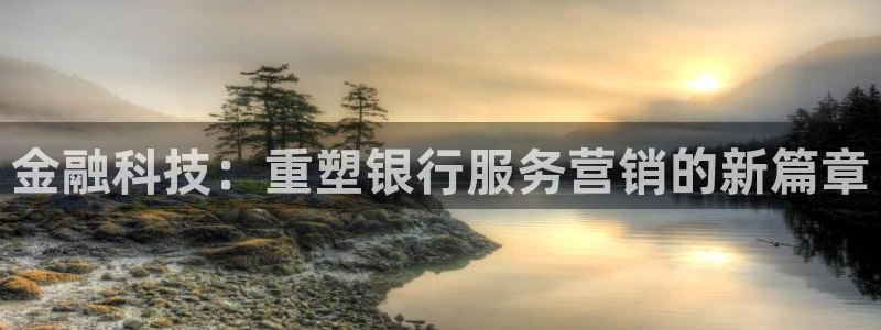 金年会电子
