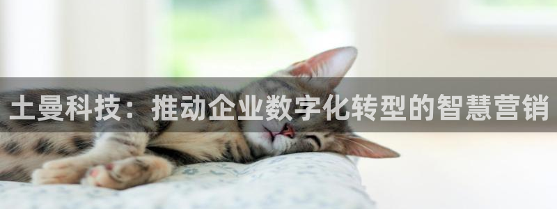 金年会com