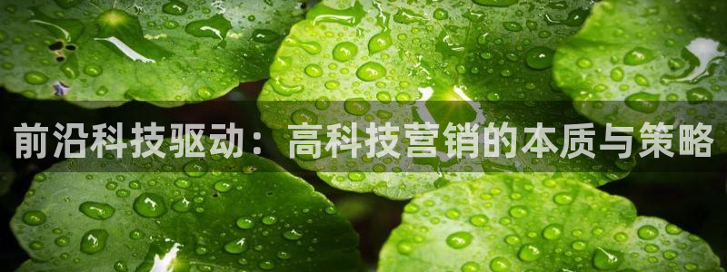 金年会体育app是干嘛的