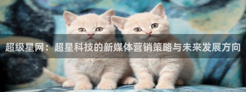 金年会官方入口app