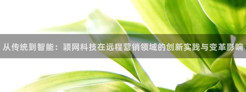 金年会体育手机app下载官网苹果