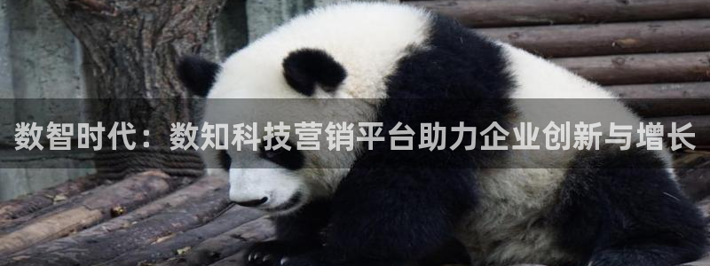 金年会官方下载入口