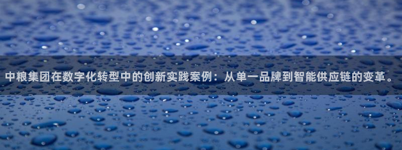 金年会体育查处