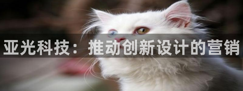 金年会官方在线登录网