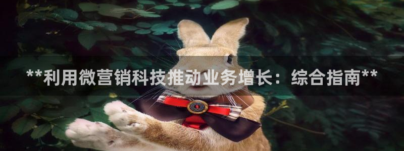 金年会体育app官网