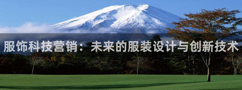 金年会体育全站网站登录