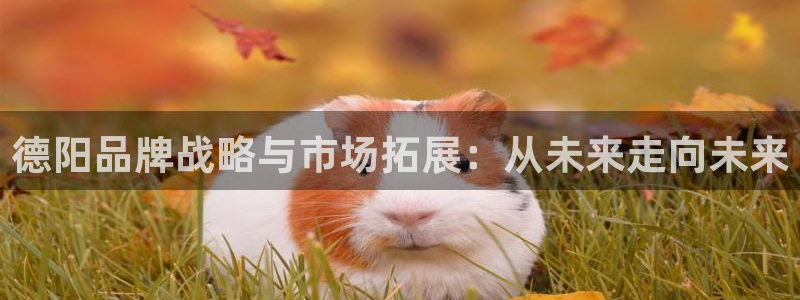 金年会官方入口登录网站