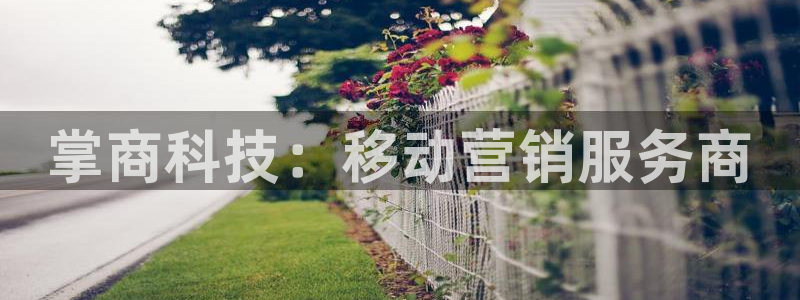 金年会app下载官网登录入口