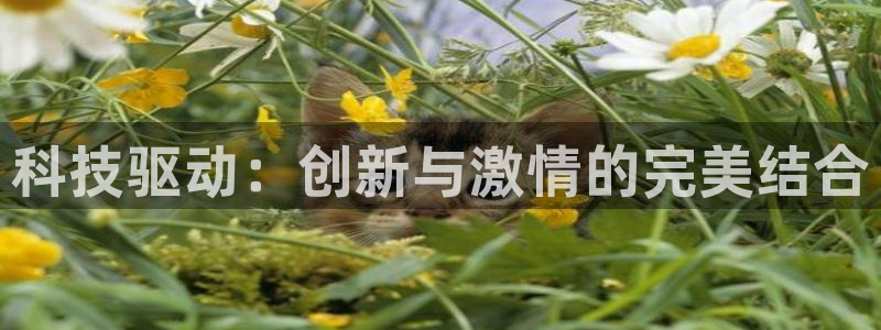 金年会登录网址