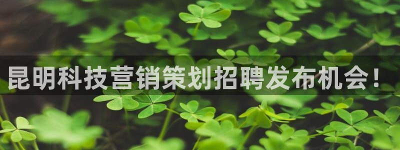 金年会网页版在线登录官网下载