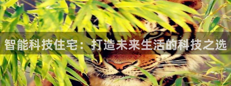 金年会官方在线登录网址是多少