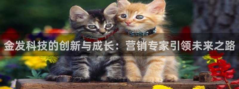 金年会官方网站入口登录手机版