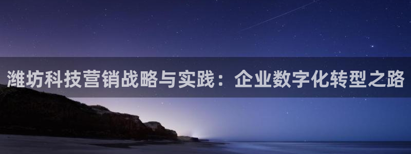 金年会体育电子登录入口