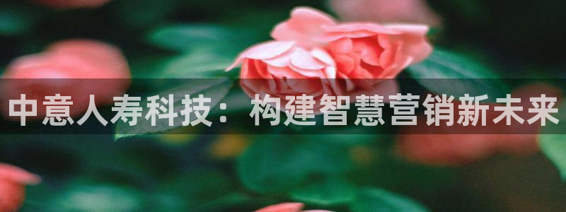 金年会体育电子登录入口