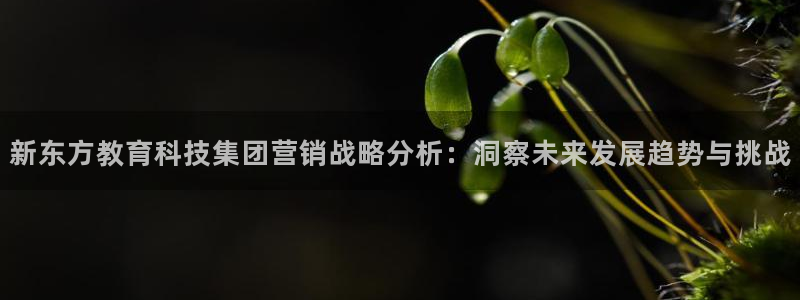 金年会VIP网页版在线登录入口