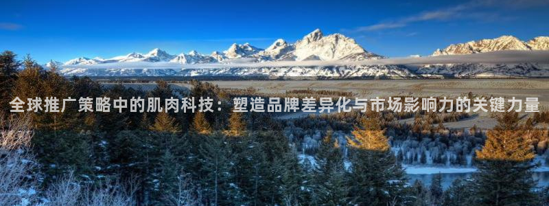 金年会官方登录入口手机版下载