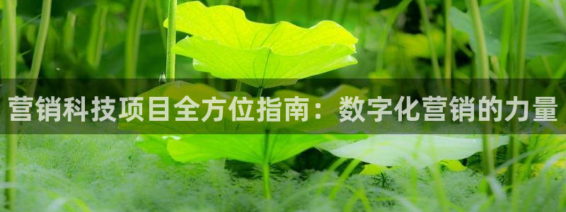 金年会官方网站入口登录手机版下载安装