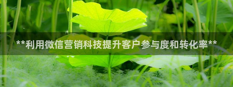 金年会登录网址