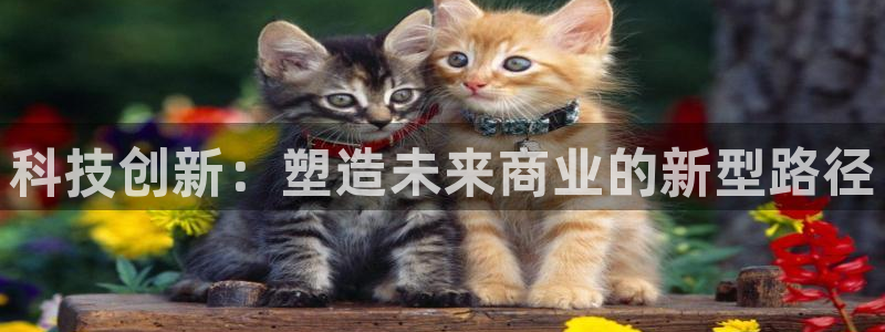 金年会会员登录页面