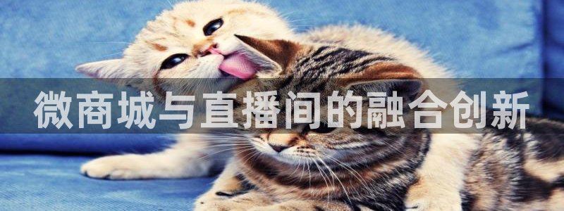 金年会体育官网登录入口下载