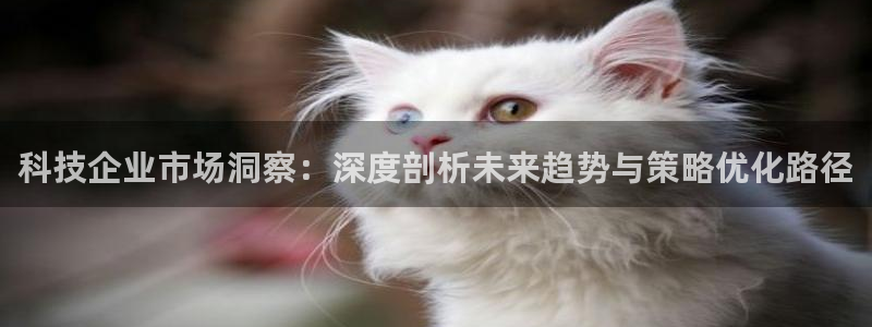 金年会体育是黑台子吗