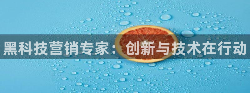 金年会金字招牌app下载