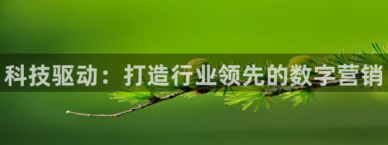 金年会电子游戏—2023全球木材与木制品大会