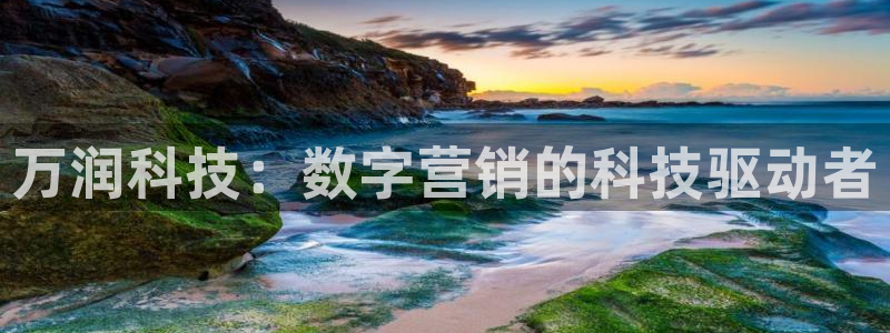 金年会官方网站入口登录网址