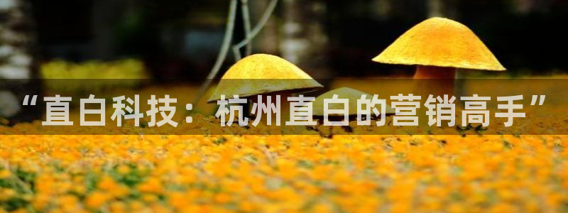 金年会体育手机app下载官网