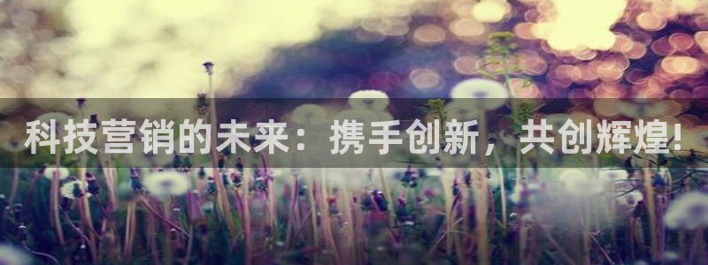 金年会网址导航在线播放