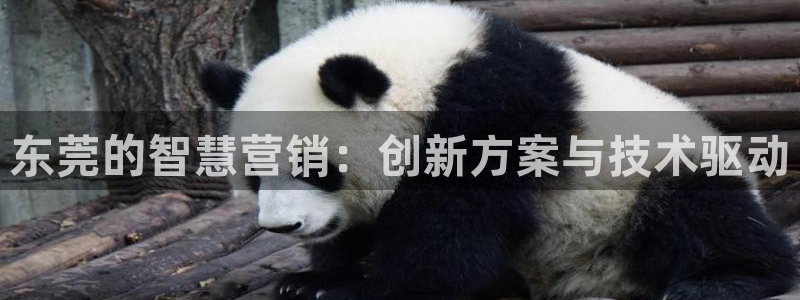 金年会体育是合法的吗