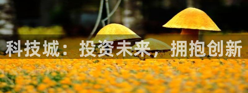 金年会官方登录网址