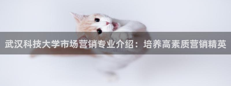 金年会官方登录入口网址是什么