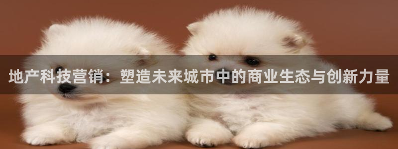 金年会app官网免费下载