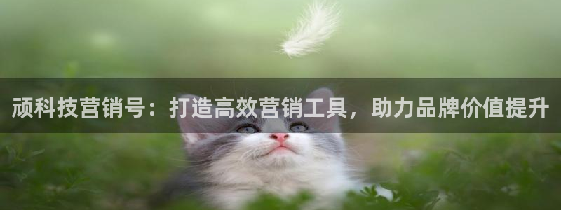 金年会体育苹果下载app