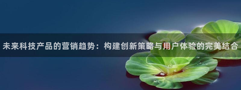 金年会体育平台官网下载app